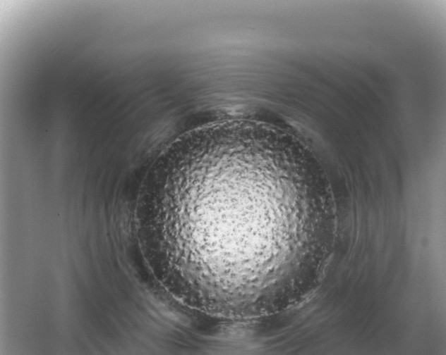 X0000062140078200512121252