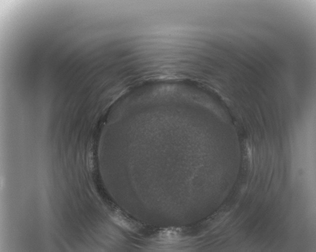 X0000062140080200512121252