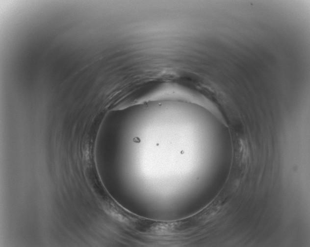 X0000062140084200512121252