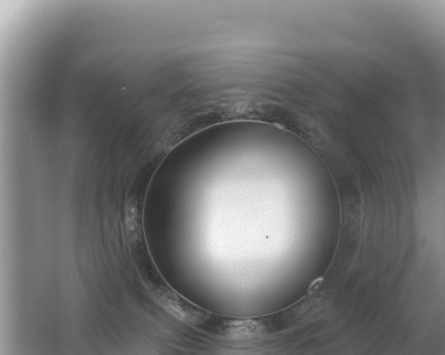 X0000062140087200512121252