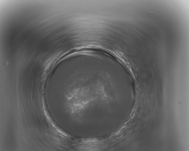 X0000062140097200512121252