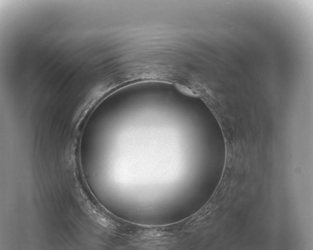 X0000062140098200512121252