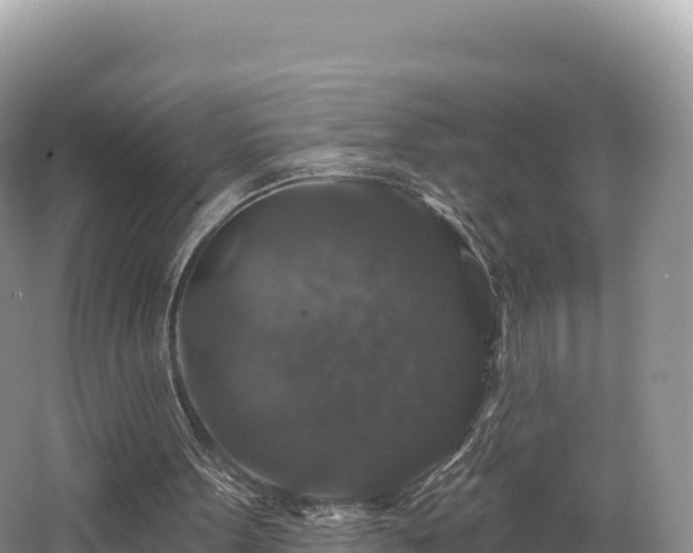 X0000062140099200512121252