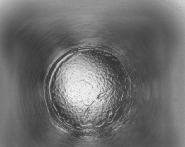 X0000062140100200512121252