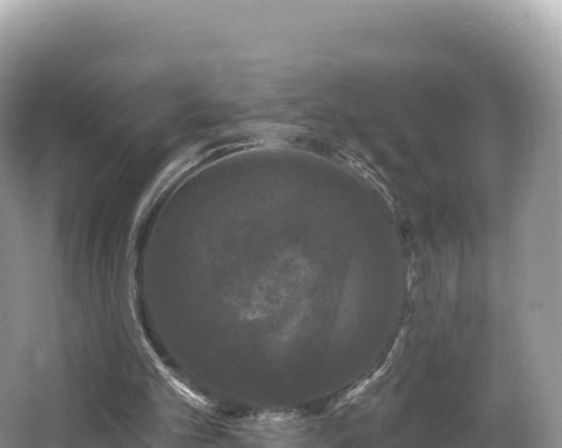 X0000062140101200512121252