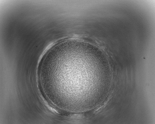 X0000062140102200512121252