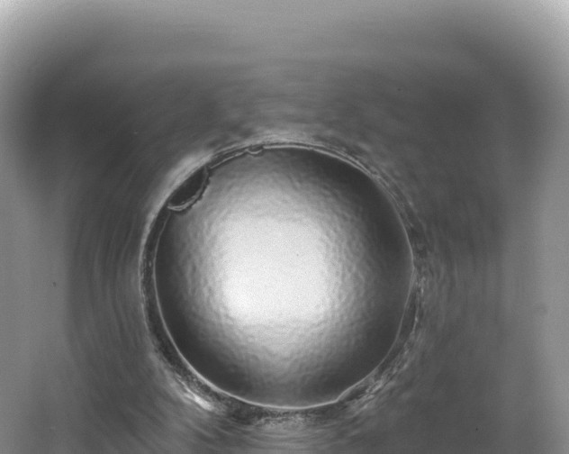 X0000062140104200512121252