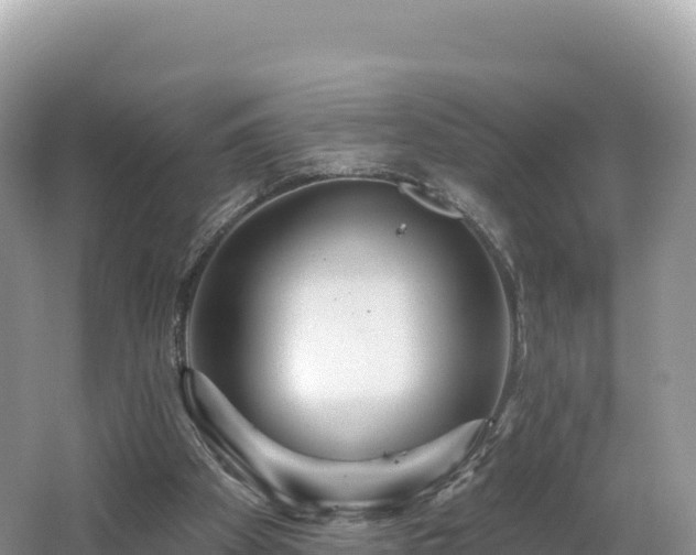 X0000062140105200512121252