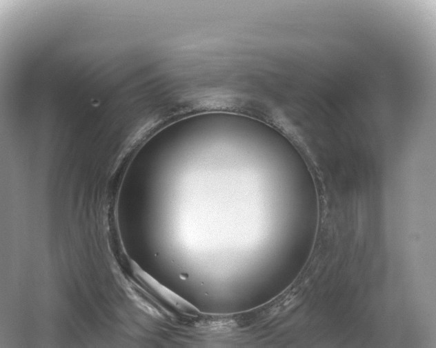 X0000062140106200512121252