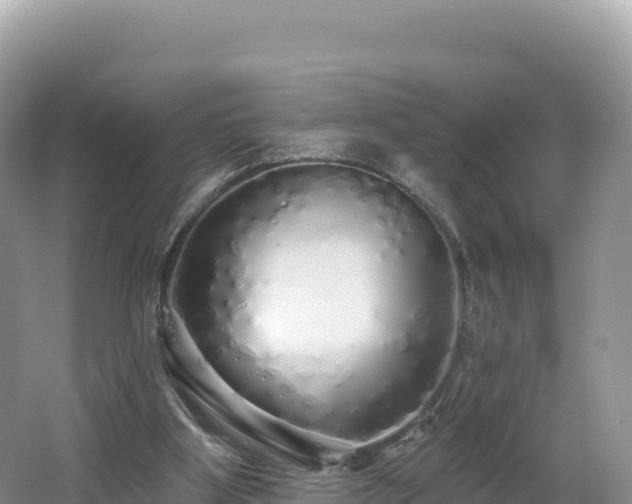 X0000062140107200512121252