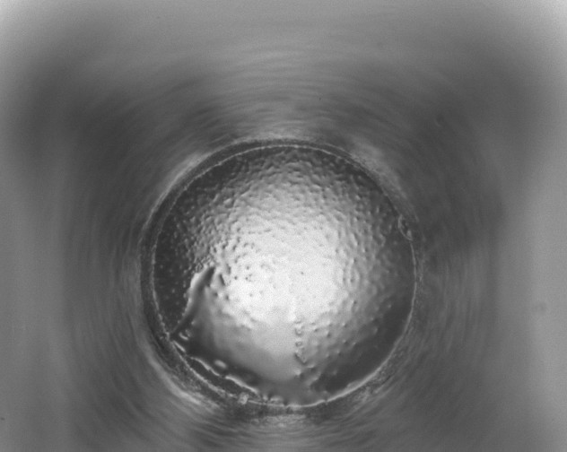 X0000062140108200512121252