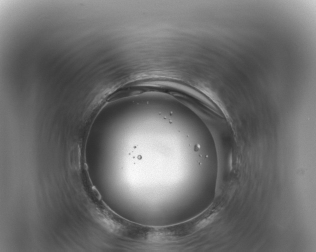 X0000062140109200512121252