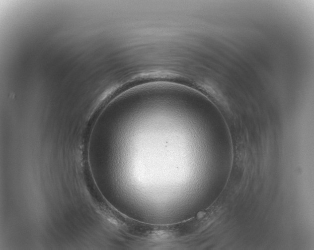 X0000062140111200512121252