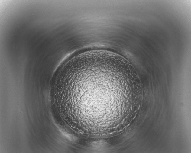 X0000062140112200512121252