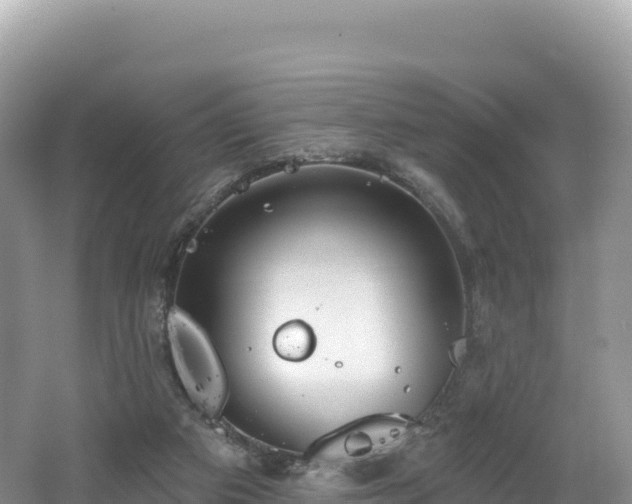 X0000062140113200512121252