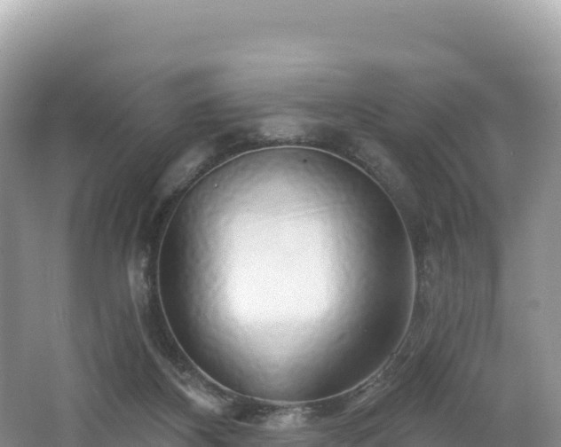 X0000062140116200512121252