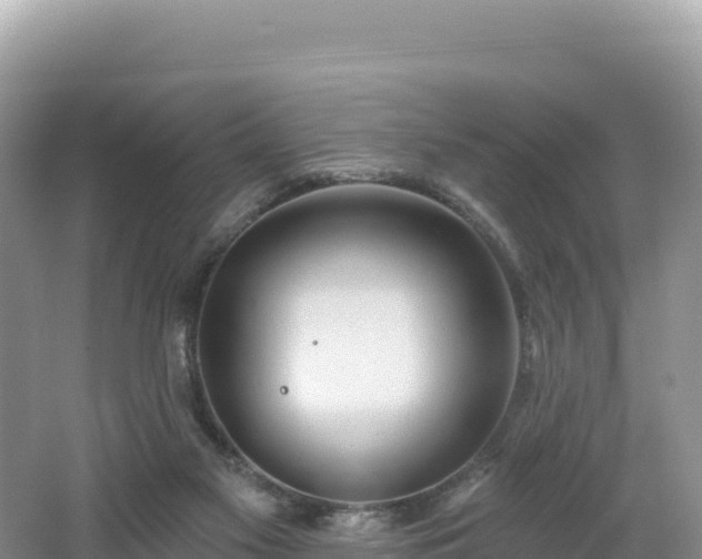 X0000062140117200512121251