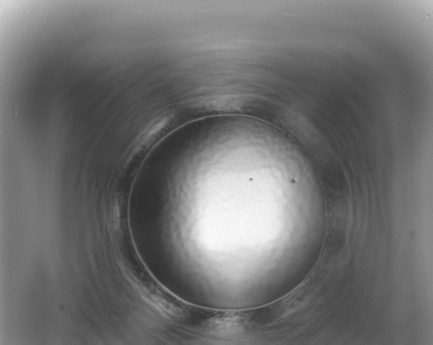 X0000062140120200512121251