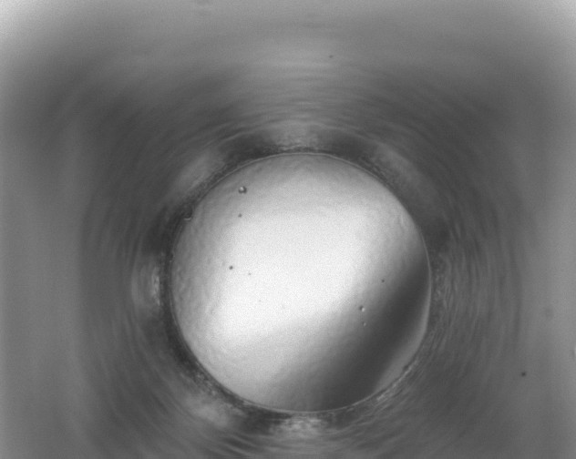 X0000062140124200512121251