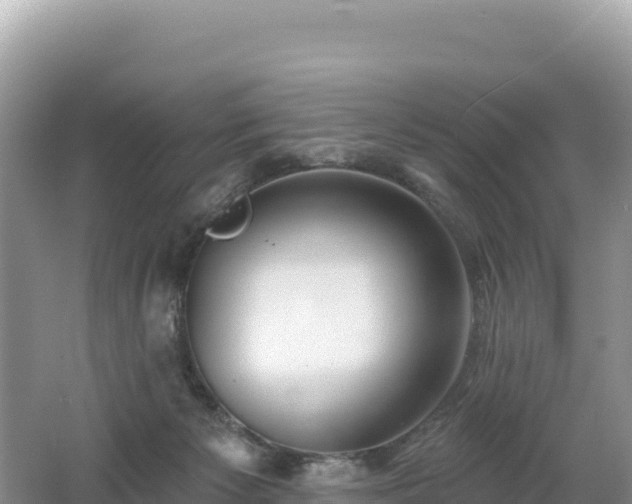 X0000062140125200512121251