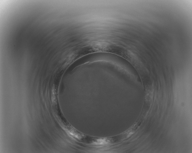 X0000062140130200512121251