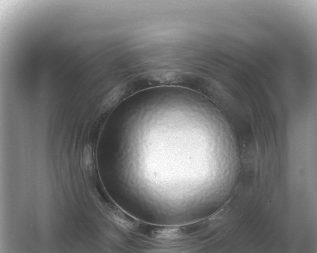 X0000062140132200512121251