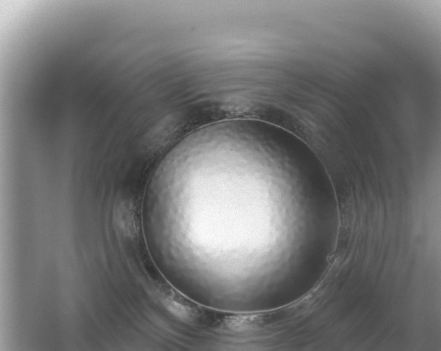 X0000062140136200512121251