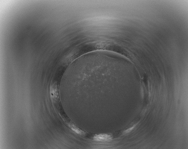 X0000062140137200512121251