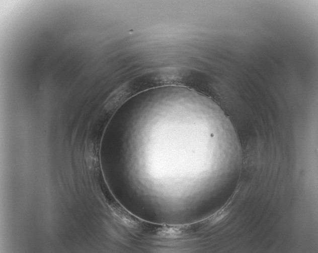 X0000062140140200512121251