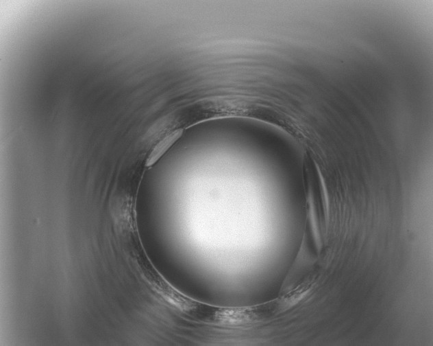 X0000062140141200512121251