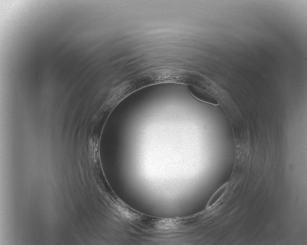 X0000062140142200512121251