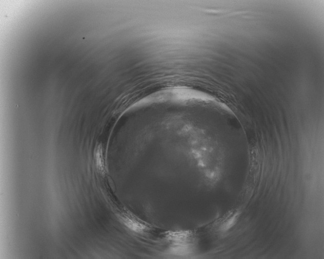 X0000062140143200512121251