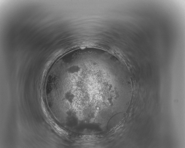 X0000062140145200512121250