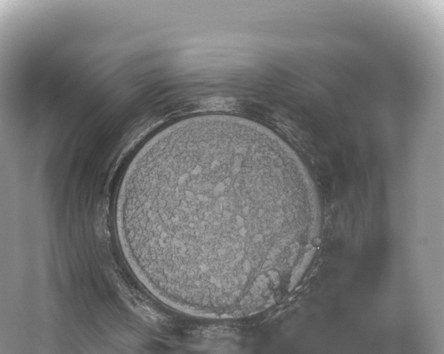 X0000062140146200512121250