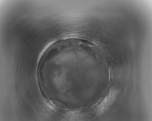 X0000062140147200512121250