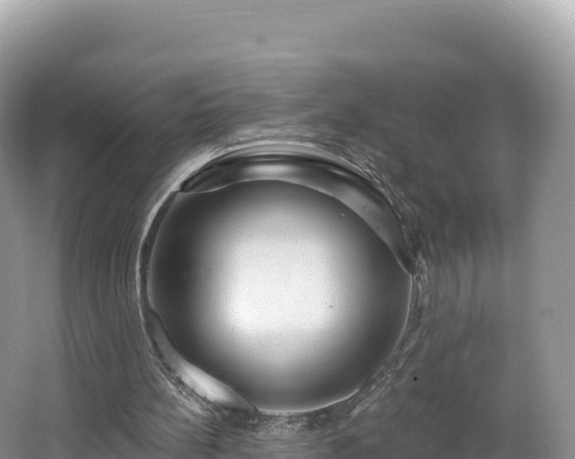 X0000062140148200512121250