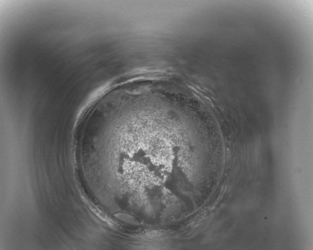 X0000062140149200512121250