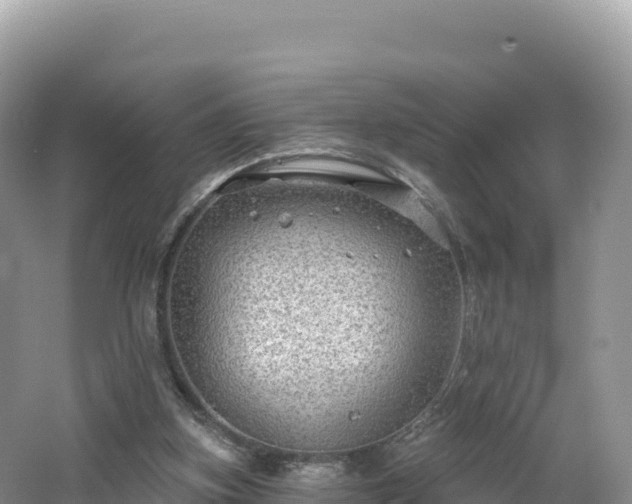 X0000062140155200512121250