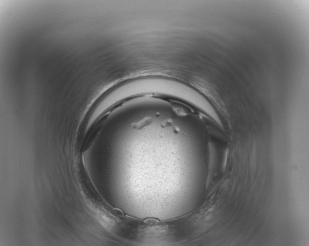 X0000062140156200512121250