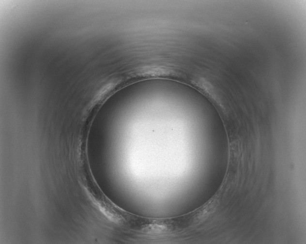 X0000062140159200512121250