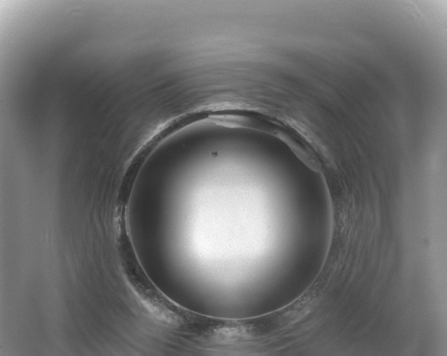 X0000062140160200512121250