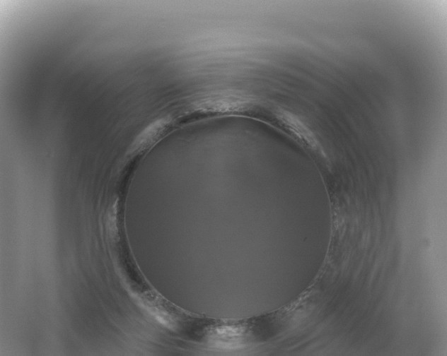 X0000062140163200512121251