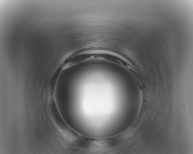 X0000062140164200512121251