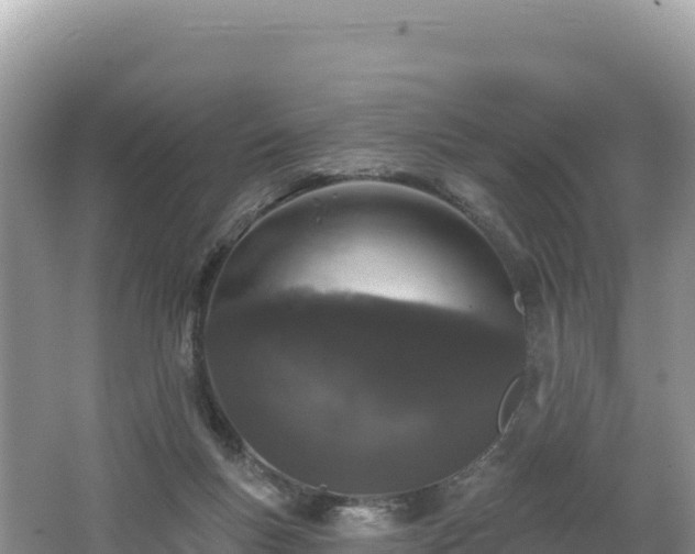 X0000062140167200512121251