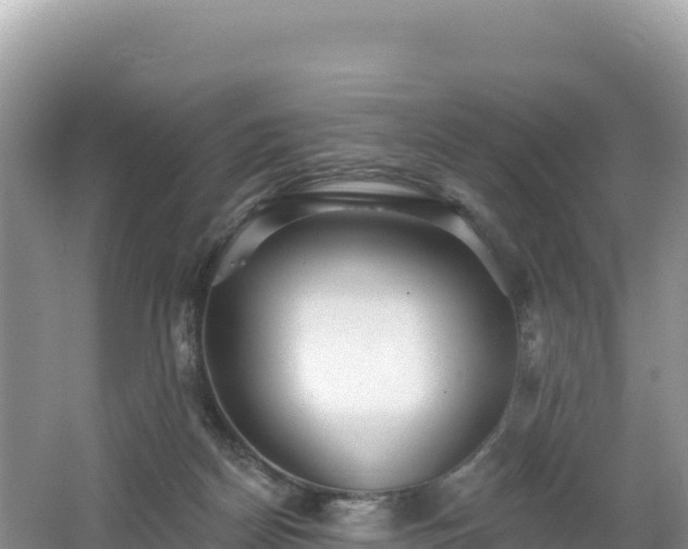 X0000062140170200512121251