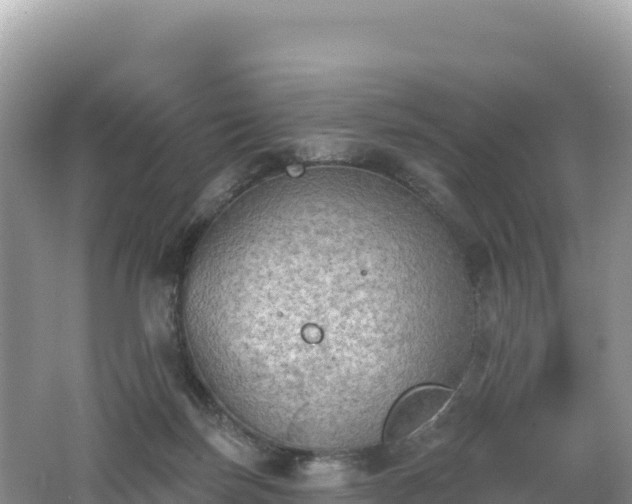 X0000062140171200512121251