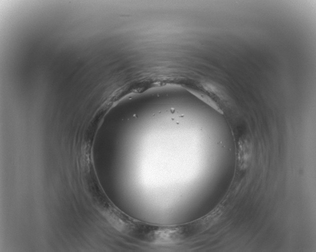 X0000062140172200512121251