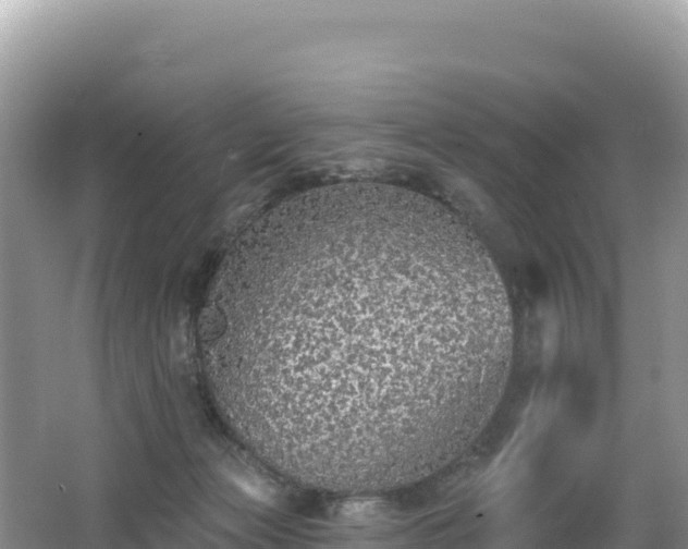 X0000062140173200512121251