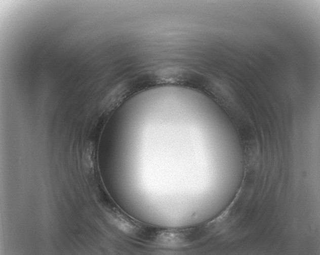 X0000062140174200512121251