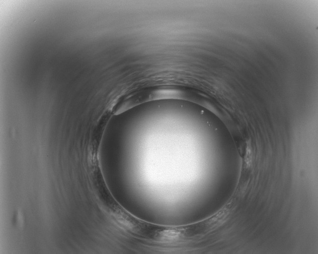 X0000062140176200512121251